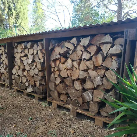 Dei Colori 莫诺波利