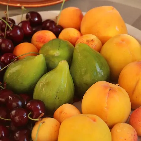 招待所 Dei Colori 莫诺波利