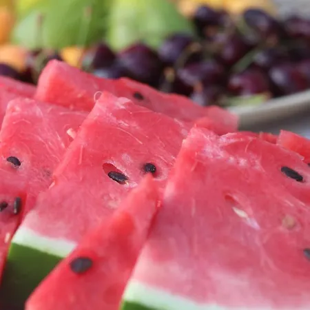 Dei Colori 招待所