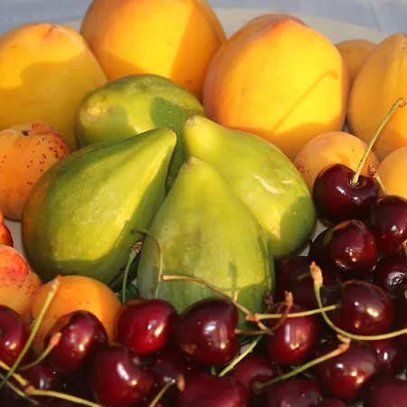 招待所 Dei Colori 4*