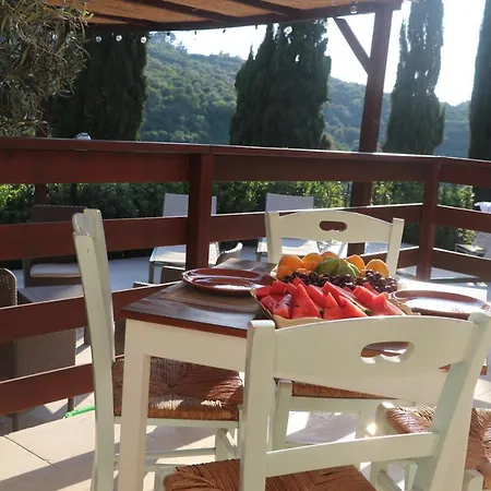 Dei Colori 莫诺波利